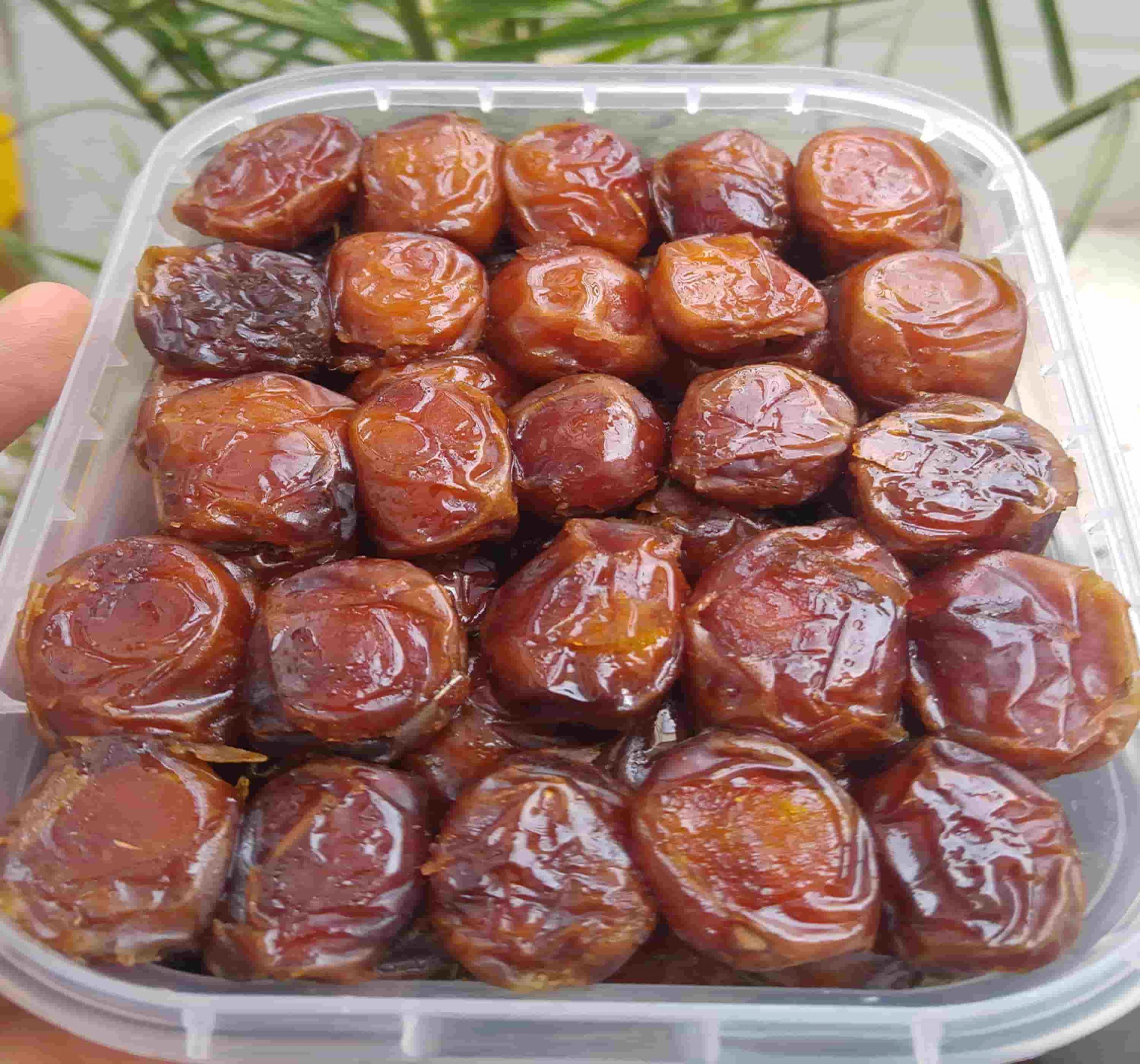 بهترین خرما خاصویی جم + قیمت خرید عالی