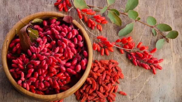 خرید زرشک دانه اناری قرمز + قیمت فروش استثنایی
