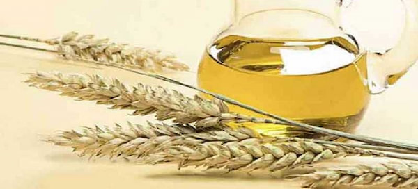 قیمت خرید عصاره روغن جوانه گندم + فروش ویژه