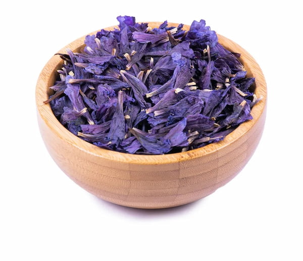 خرید گیاه گل گاو زبان دارویی + قیمت فروش استثنایی
