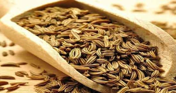 قیمت گیاه دارویی زیره سبز + خرید باور نکردنی