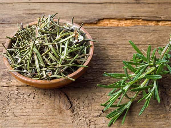 راهنمای خرید برگ آویشن خشک شده + قیمت عالی