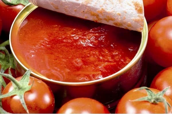 خرید رب گوجه فرنگی 800 گرمی + قیمت فروش استثنایی