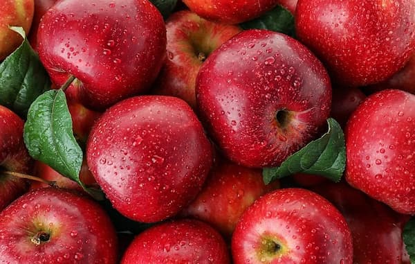 خرید سیب قرمز جنگلی + قیمت فروش استثنایی
