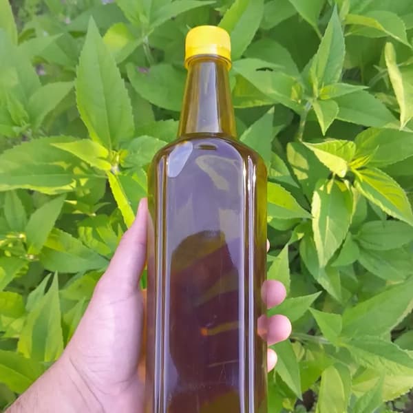 قیمت خرید روغن کنجد هندی با فروش عمده