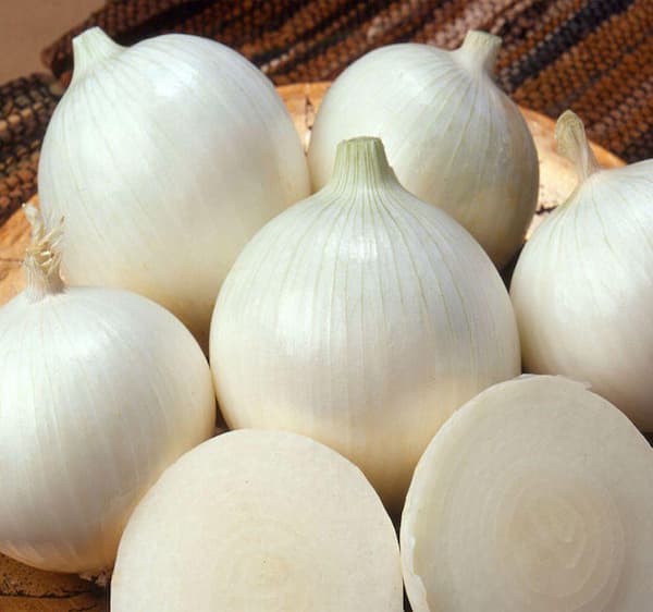 خرید و فروش پیاز پوست سفید با شرایط فوق العاده
