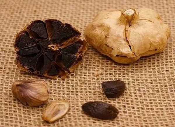 خرید و فروش سیر سیاه شیراز با شرایط فوق العاده