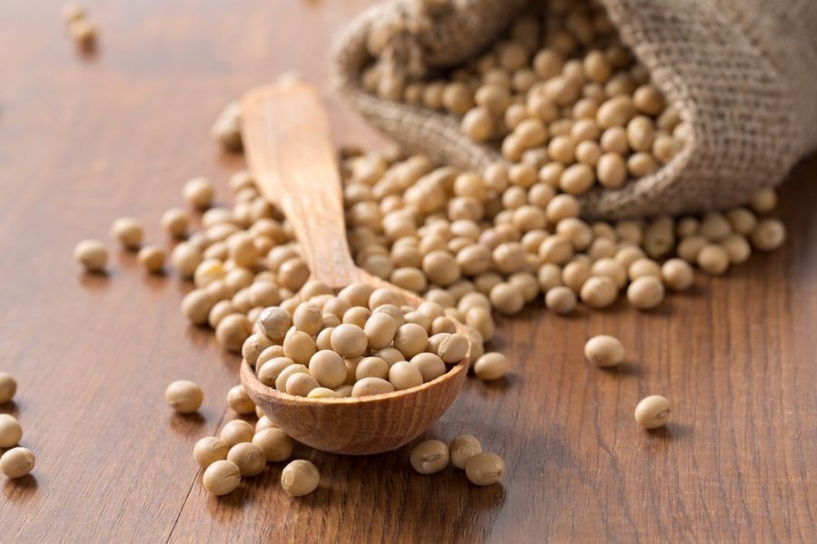 قیمت خرید سویا آجیلی طعم دار با فروش عمده