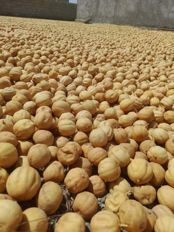 قیمت لیمو عمانی ایرانی با فروش عمده