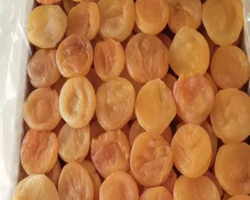 قیمت و خرید قیسی ترش زردآلو + فروش ارزان