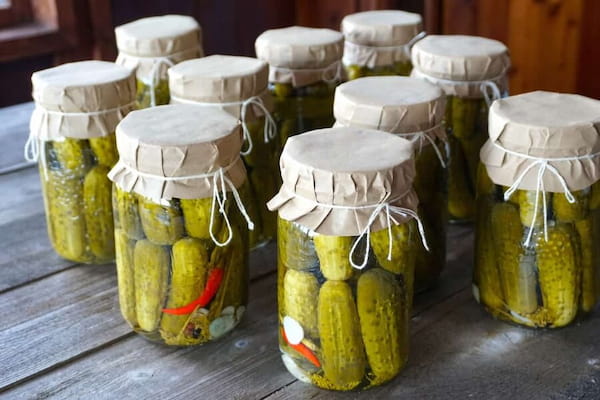 خرید خیارشور خانگی + بهترین قیمت