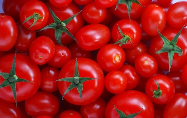 قیمت خرید گوجه فرنگی ایتالیایی + فروش ویژه