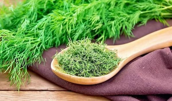 قیمت خرید سبزی خشک عمده با فروش عمده