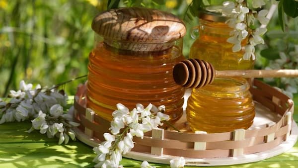 معرفی عسل بوقناق طبیعی + بهترین قیمت خرید