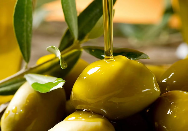 قیمت خرید روغن زیتون سبز + فروش ویژه