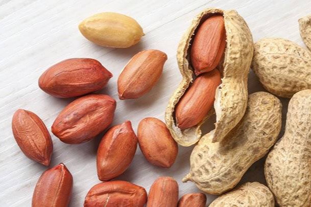 بادام زمینی صادراتی با کیفیت+ فروش ویژه