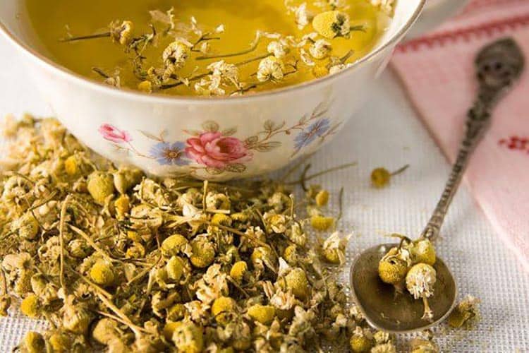 فروش گیاه دارویی بابونه + قیمت خرید به صرفه