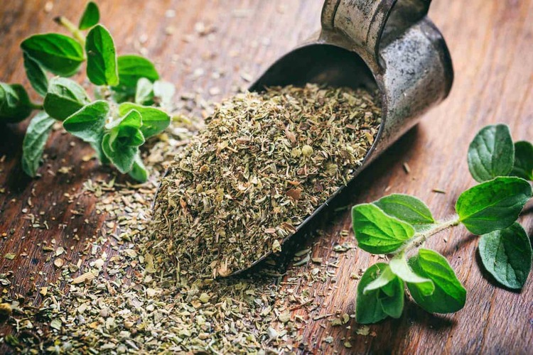 قیمت خرید گیاه دارویی آویشن + فروش ویژه