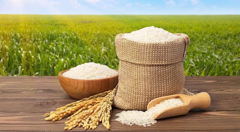 قیمت خرید برنج عنبر بو ایرانی با فروش عمده
