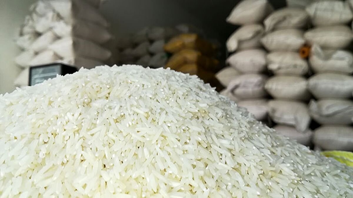 خرید برنج عنبر بو باران + قیمت فروش استثنایی