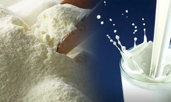 قیمت شیر خشک غیر لبنی با کیفیت ارزان + خرید عمده