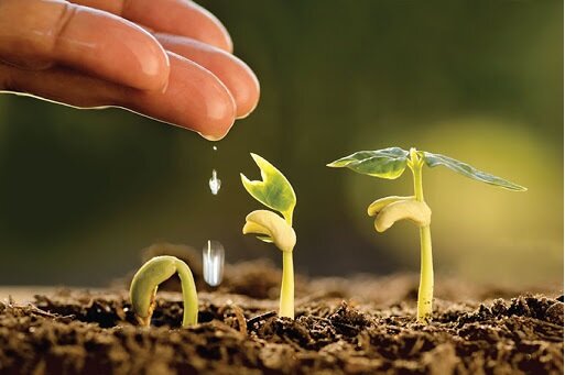 قیمت خرید هیدروژل کشاورزی با فروش عمده