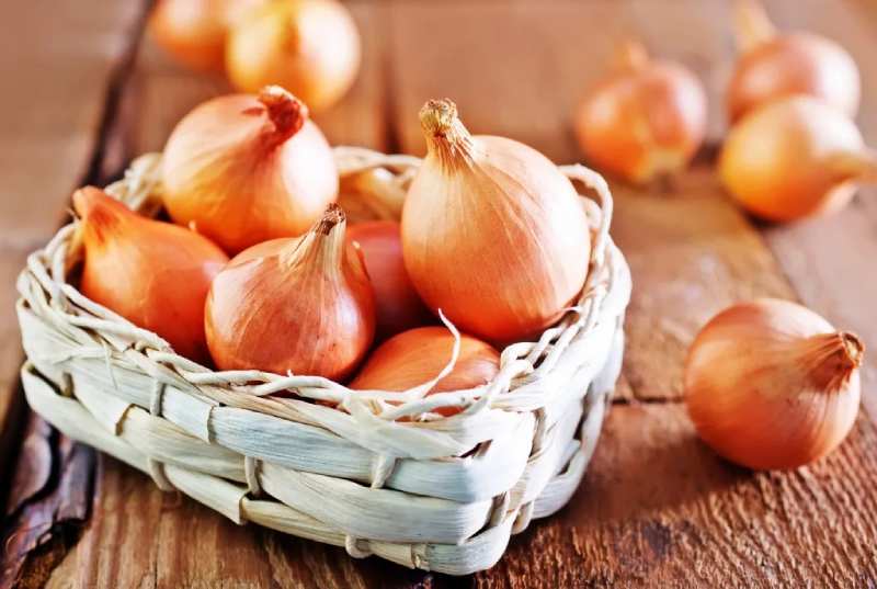 قیمت خرید پیاز زرد صادراتی + فروش ویژه