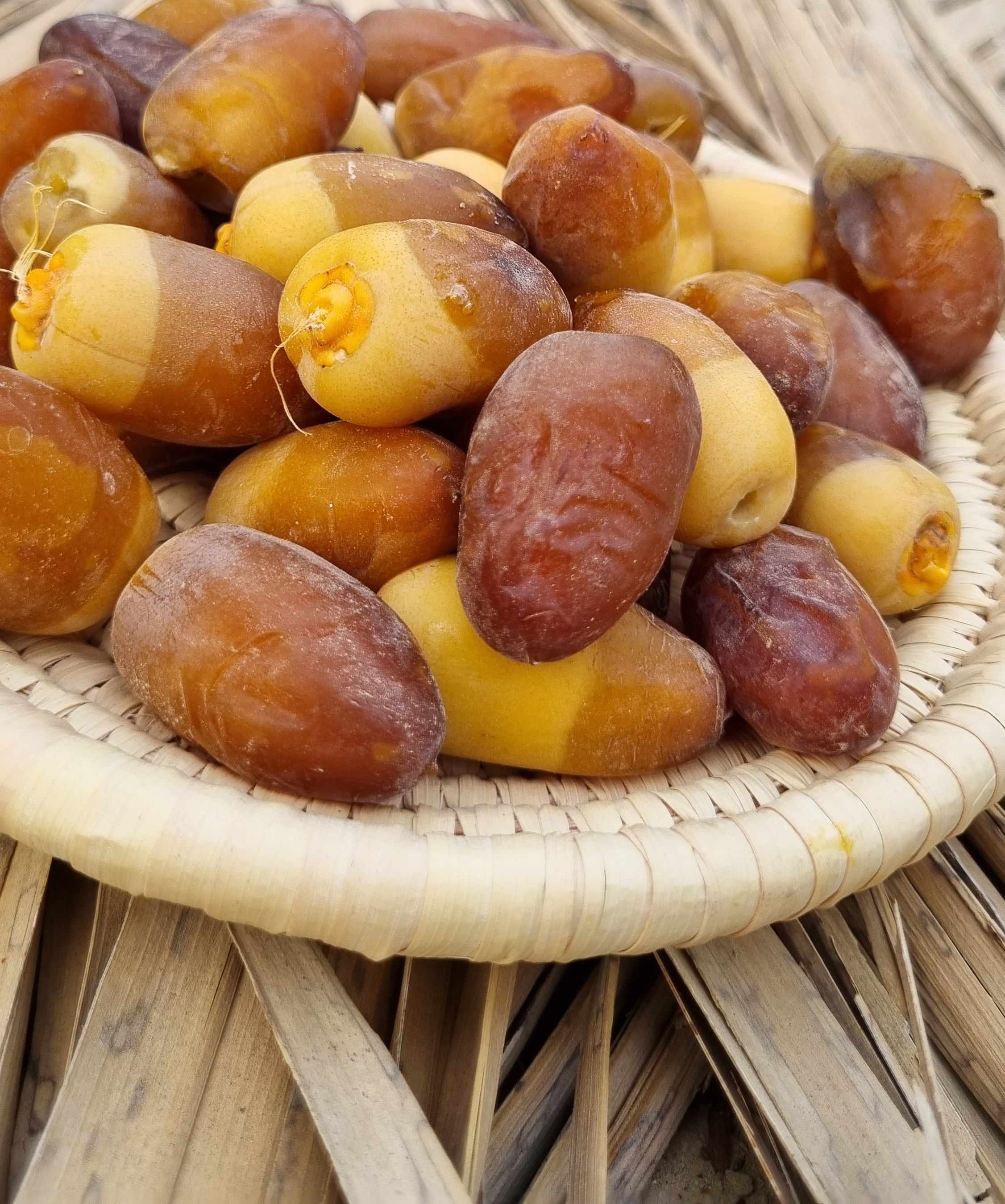 قیمت خرید خرما رطب تازه با فروش عمده