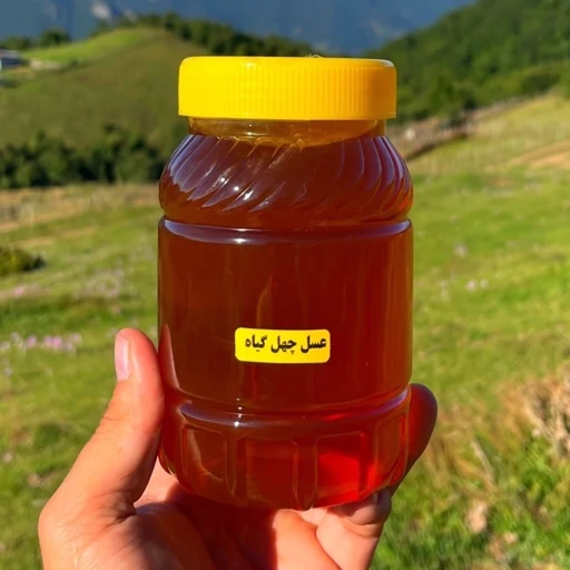 قیمت خرید عسل چهل گیاه دشت با فروش عمده