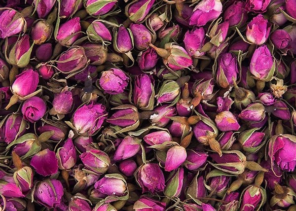 قیمت غنچه گل محمدی صادراتی + خرید باور نکردنی