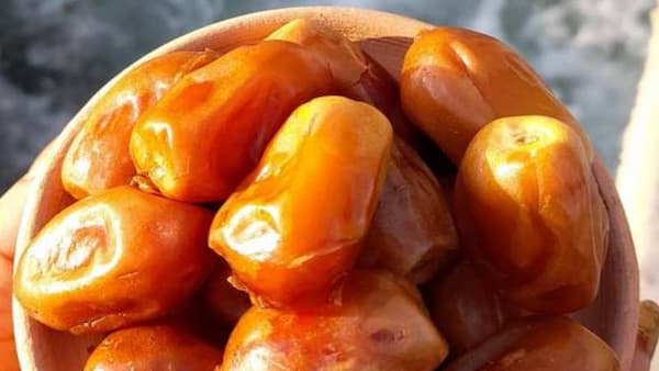 خرید و قیمت خرما زاهدی + فروش عمده