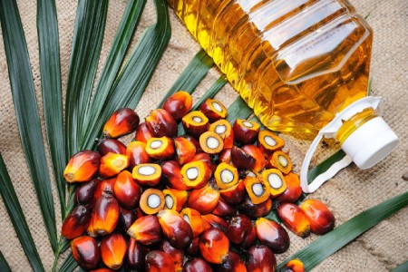 خرید و فروش روغن هسته خرما خوراکی با شرایط فوقالعاده