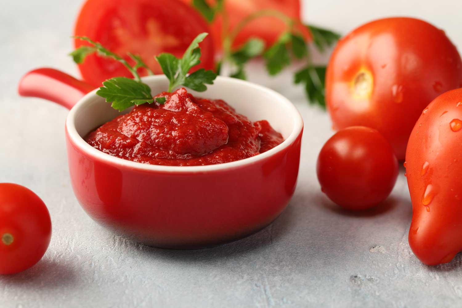 قیمت خرید رب گوجه فرنگی حلبی + فروش ویژه