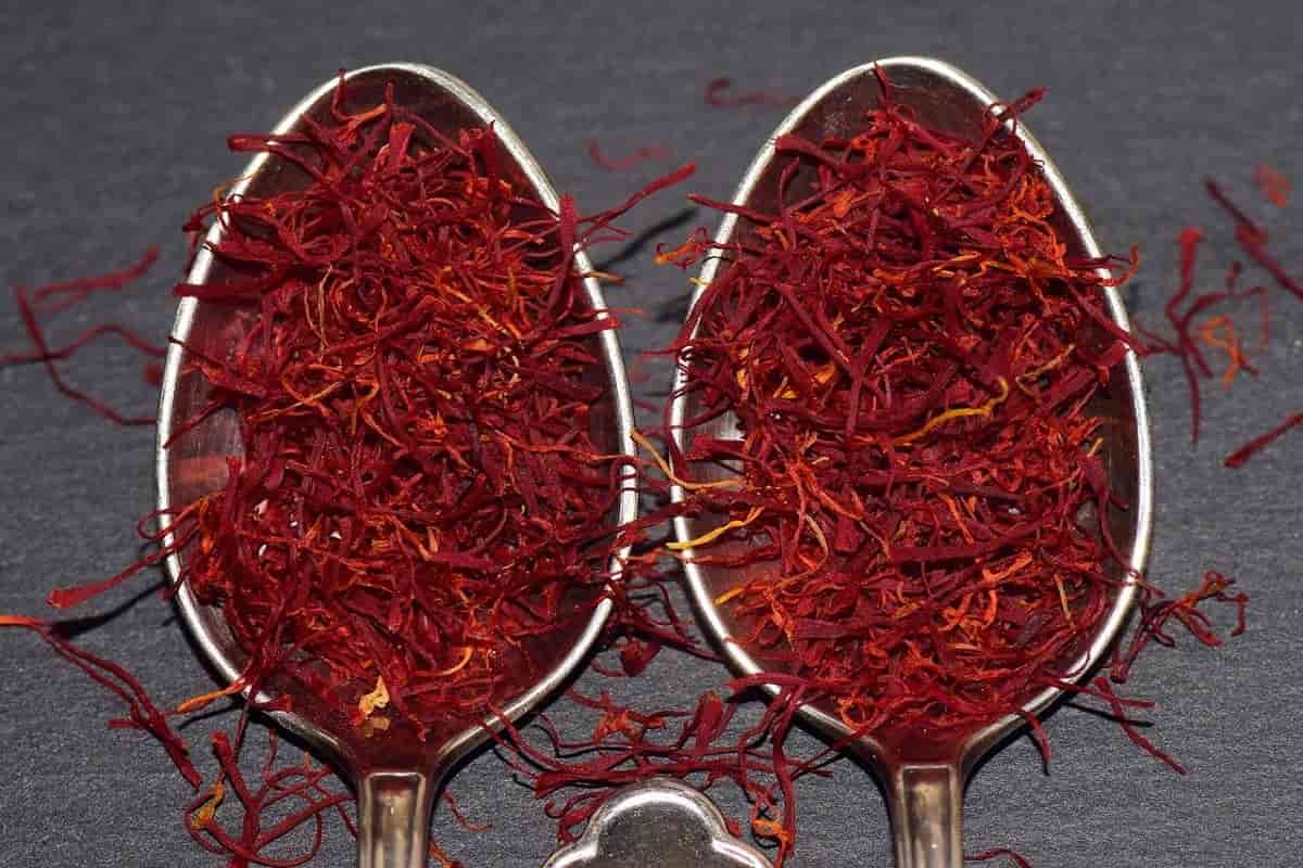 قیمت زعفران نگین اتویی با فروش عمده