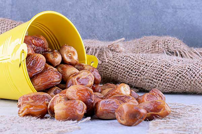 قیمت خرما زاهدی طبس + خرید باور نکردنی