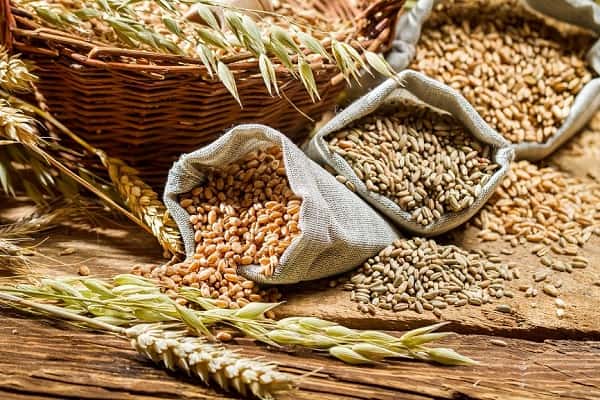 خرید و فروش سویق مخصوص نوزاد با شرایط فوق العاده