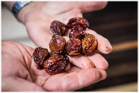 قیمت استثنایی + فروش ویژه آلو خشک آفتابی