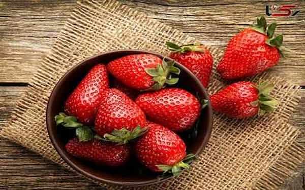 فروش توت فرنگی کیلویی + قیمت خرید به صرفه