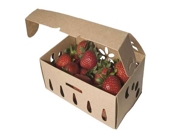 قیمت توت فرنگی جعبه ای با فروش عمده