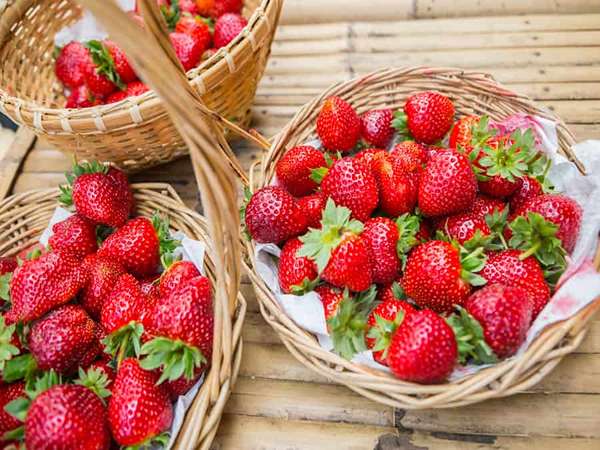 فروش توت فرنگی خوشمزه + قیمت خرید به صرفه