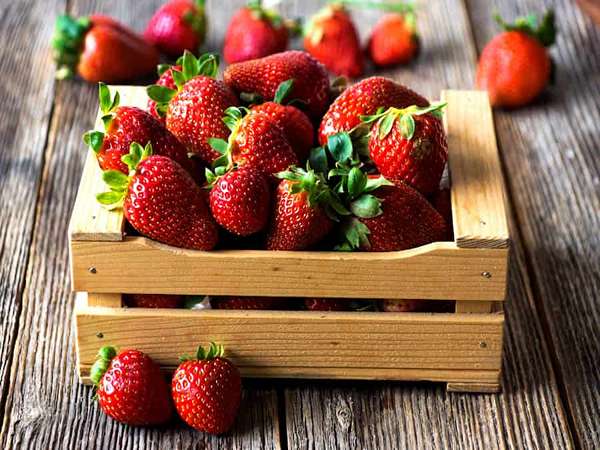 قیمت خرید توت فرنگی خارجی با فروش عمده
