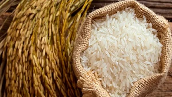 خرید و فروش برنج عنبر بو دزفول با شرایط فوق العاده