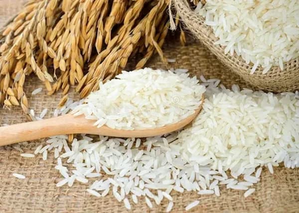 قیمت خرید برنج کامفیروزی معدل با فروش عمده