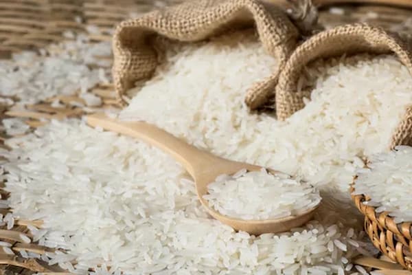 قیمت برنج دانه ریز ایرانی + خرید باور نکردنی