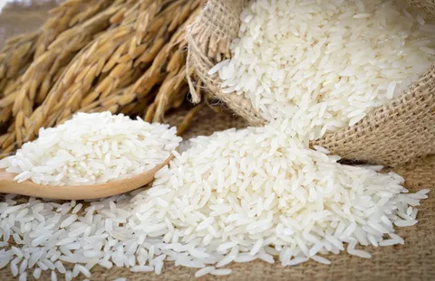 خرید و قیمت برنج عنبر بو کامفیروز + فروش عمده