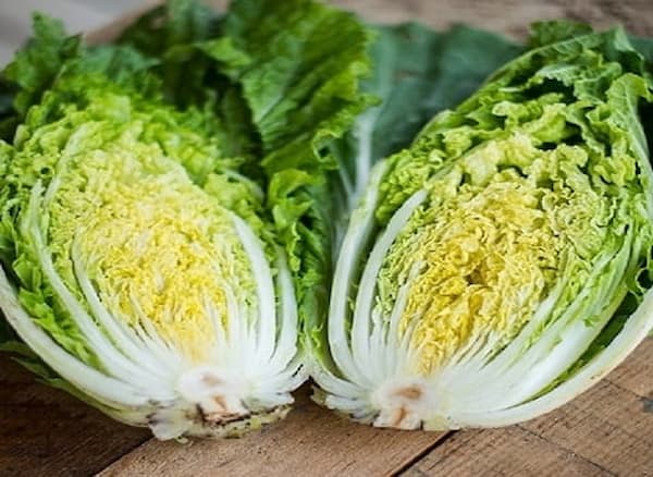 خرید کاهو چینی + قیمت فروش استثنایی