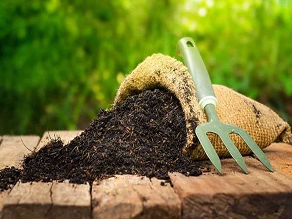 فروش خاک برگ فله ای + قیمت مناسب