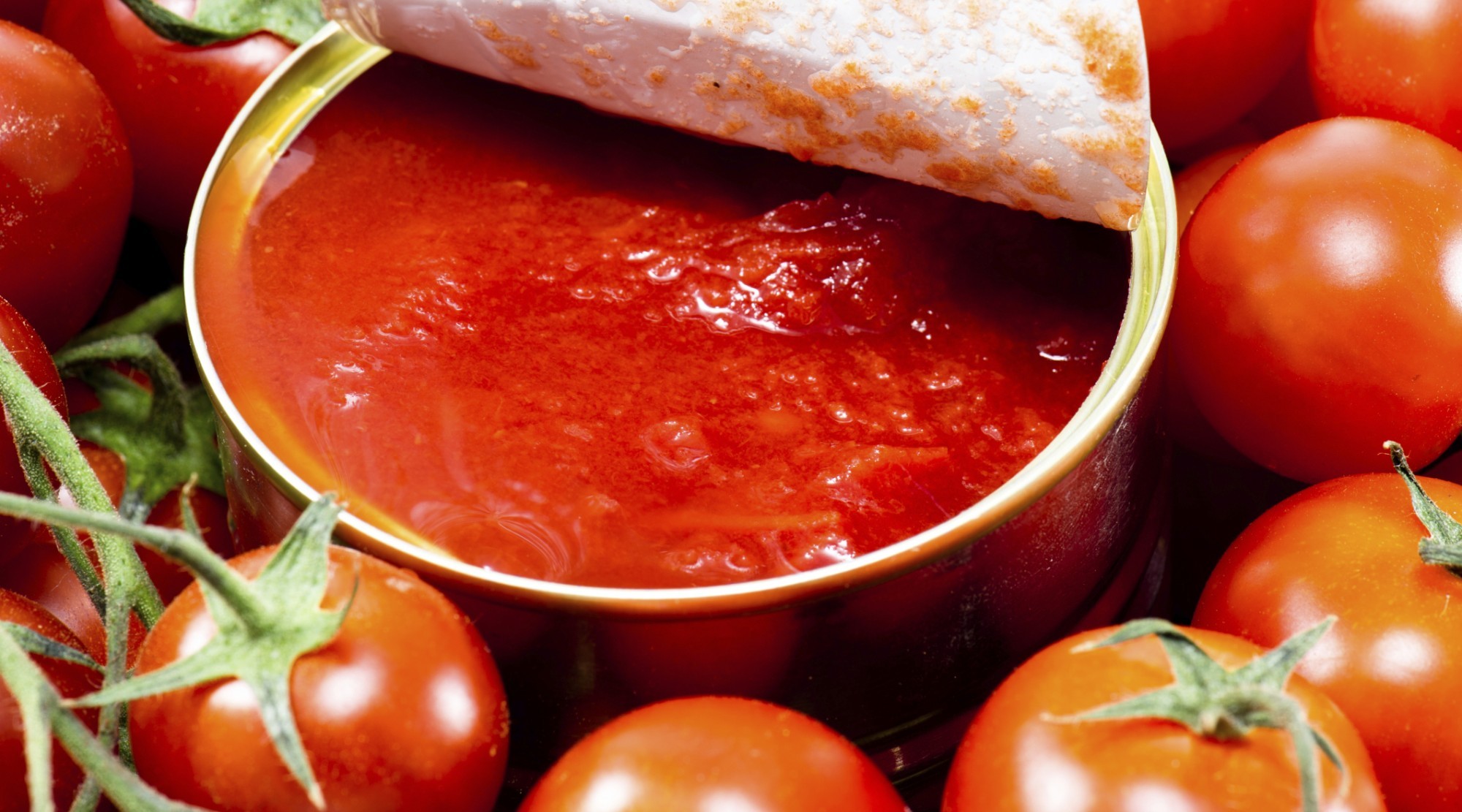 قیمت رب گوجه قوطی + خرید باور نکردنی