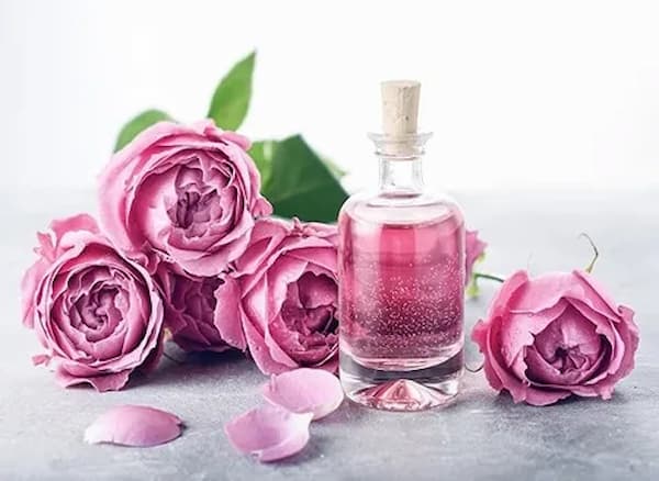 خرید گلاب 24 عیار + قیمت فروش استثنایی