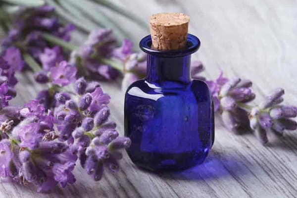 فروش ژل خوشبو کننده خودرو + قیمت خرید به صرفه